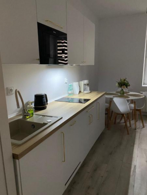 Nikifor Apartamenty Krynica-Zdrój